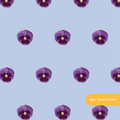 Dusty Blue Pansies Floral Seamless Pattern