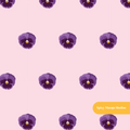 Pink Pansies Floral Seamless Pattern
