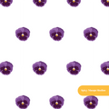 White Pansies Floral Seamless Pattern
